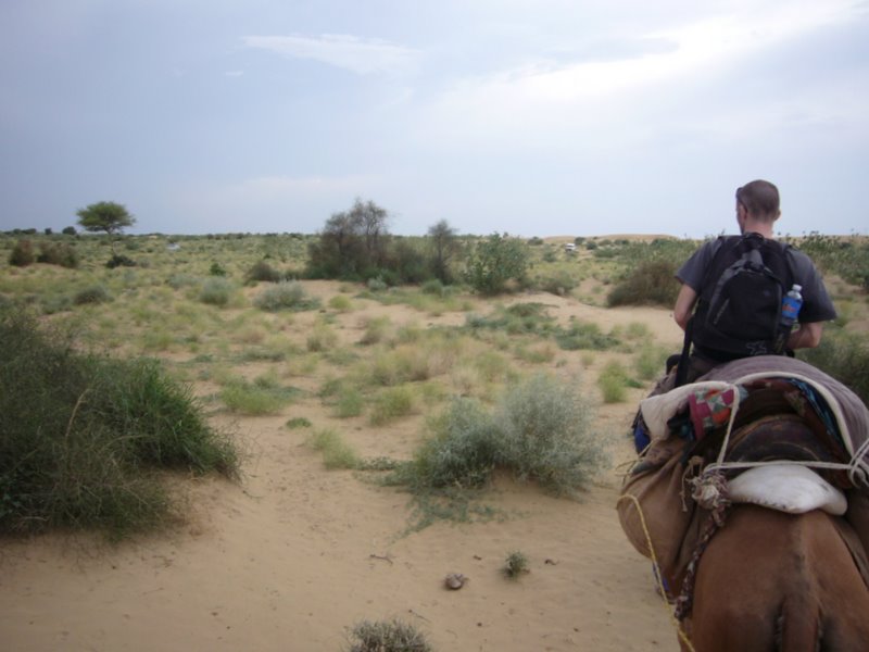 Travel - India - Rajasthan - Desert Camel Trip - Camel Safari